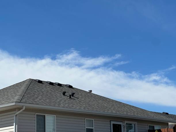 Best Asphalt Shingles Roofing  in Hoover, AL